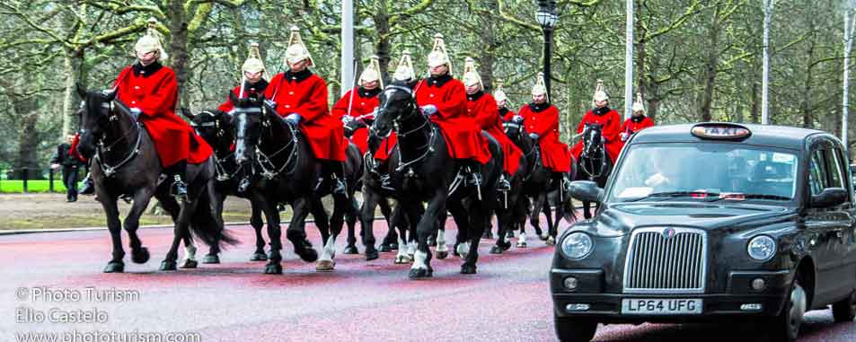 london-horse-guard-(565)